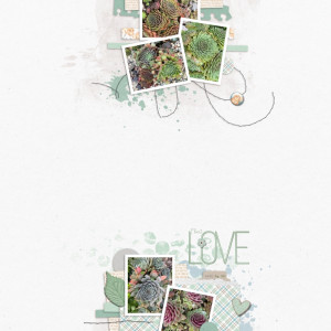 Plant Love