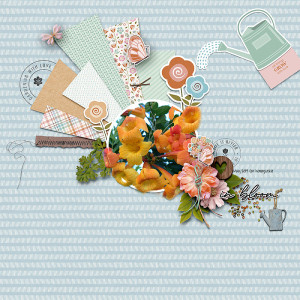 In-Bloom-copy