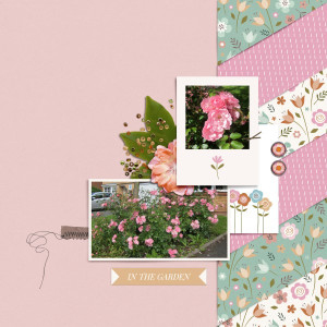 Roses