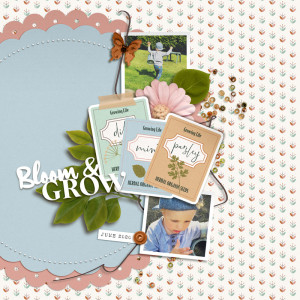 Bloom & Grow