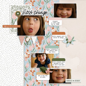 FF 03/10 Little Things