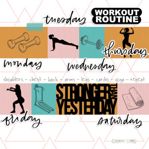 Workout Routine