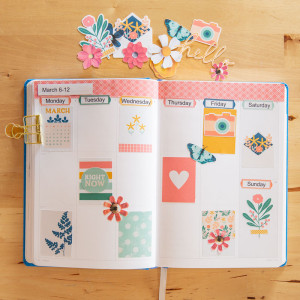 March Wk1 planner