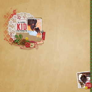 New-kid