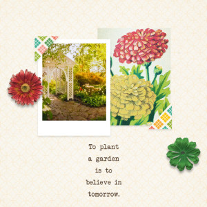 My Garden