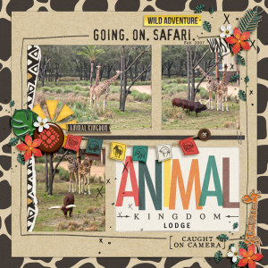animal kingdom lodge b