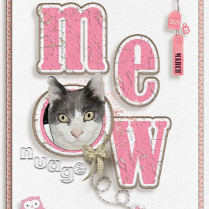 MEOW