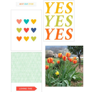 Tulipes