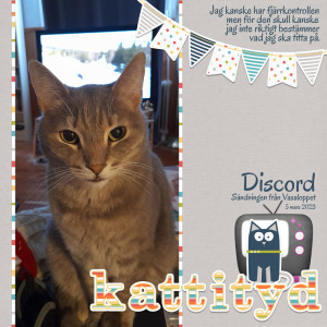 Kattityd