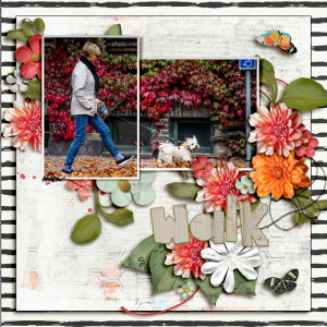 Walk