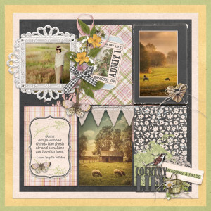 Meadows and Fields