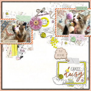 March 2023 Inspiration Challenge: Crazy Daisy