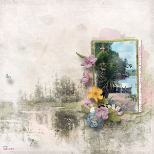 OAWA-CountryLife