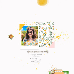 Tournesol