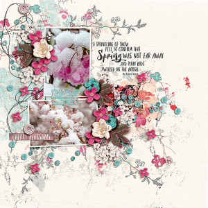 SOSN_mar15_AWA_Cherry Blossoms
