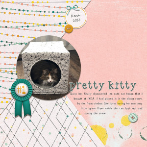 March 2023 Random Challenge: Pretty Kitty
