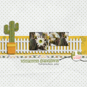 23-03_KimJensen_GardenVariety