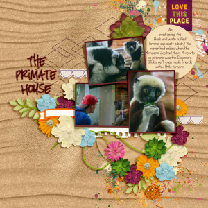 20130816 Primate House
