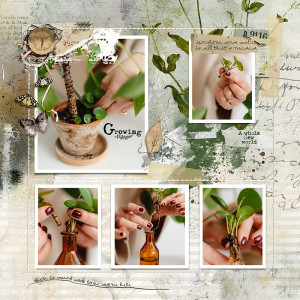 23-03_HMV11-growing