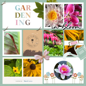 HappyGarden_Nimmo