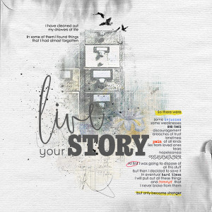 live your story