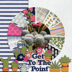 SOSN_mar15_KJ_Soco_Get To The Point