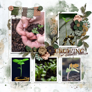 FF_mar15_RJ_LG_Growing