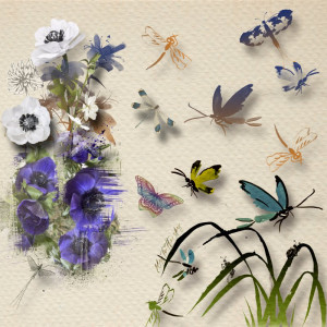 PaulaKesselring_Mayfly