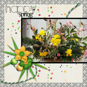 Random_happyspring