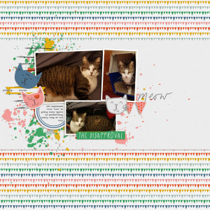 meow