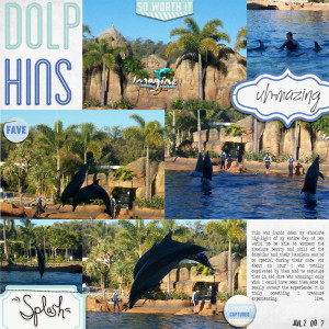 Dolphins