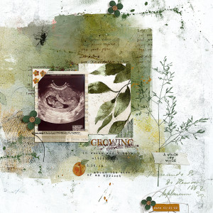 Ultrasound 10 Weeks