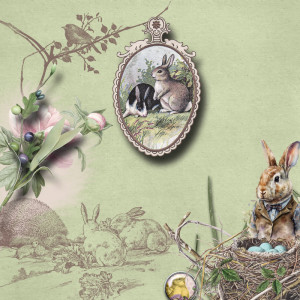 AWA-Ostara