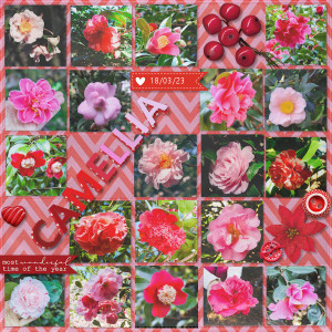 230318_camllia Red