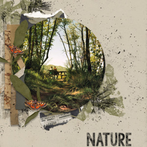 Natures Music