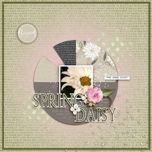 Spring Daisy
