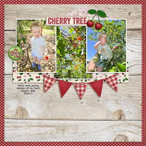 SOSN 03/22- Cherry Tree