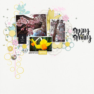 Spring 2019