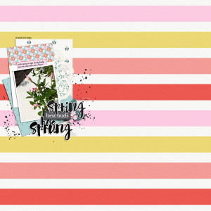 ninigoesdigi - Spring it On!