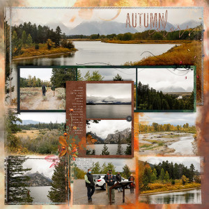 Jackson Hole Landscape