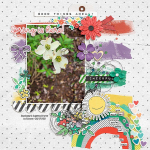 SOSN 03/29- Spring is Here