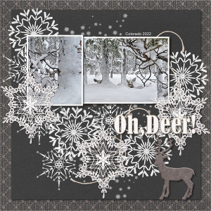 Oh, Deer!
