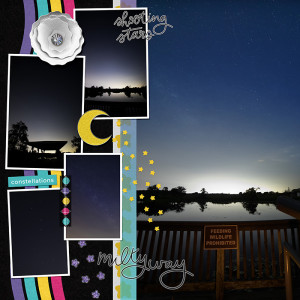 shooting stars & Milky Way