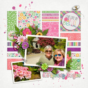 Let Spring Begin!