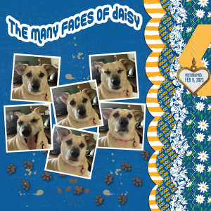 Slow Scrap 3-24_themanyfacesofdaisy