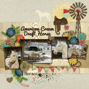20130415 Am Cream Draft Horse