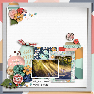 FF_mar31_MPM_FDD_Follow Your Own Path
