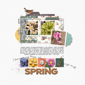 Spring