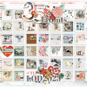 LOD 2023: Collage