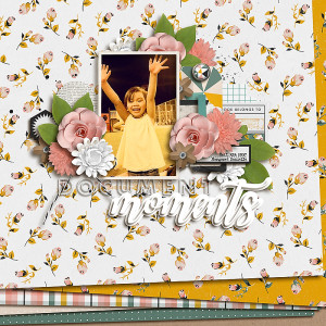 document moments